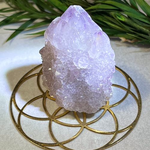 トライゴーニック✨カクタスアメジスト サボテン水晶 ラフ