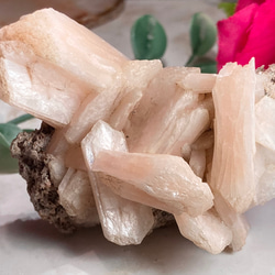 f802bbced38a15c526ce2dd7d9bf8b