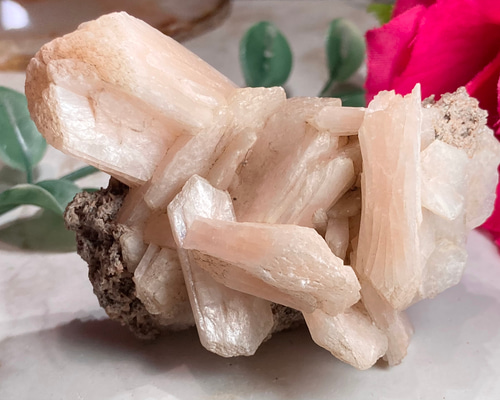 f802bbced38a15c526ce2dd7d9bf8b