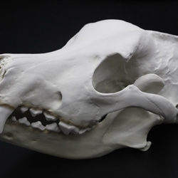 79126173a70fadb6bd90b3e1564ded