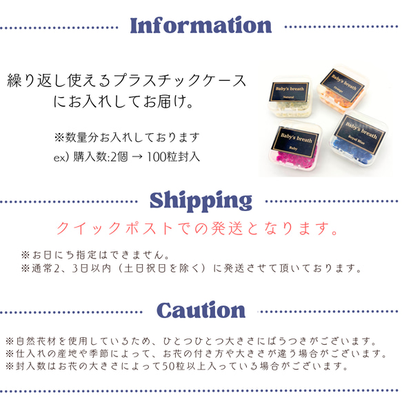 【 かすみそう 小分け 50粒 】 ドライフラワー 少量 ヘッドのみ 花材 レジン 材料 封入 0501 5枚目の画像