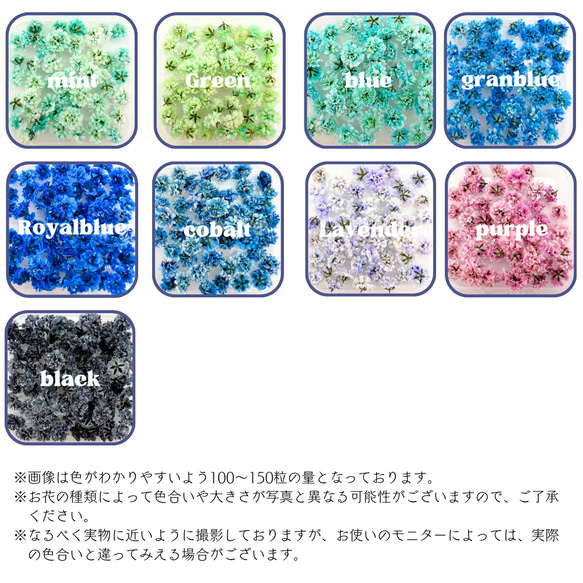 【 かすみそう 小分け 50粒 】 ドライフラワー 少量 ヘッドのみ 花材 レジン 材料 封入 0501 3枚目の画像