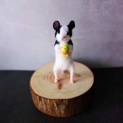 海外作家 やまね ヤマネ ぬいぐるみ アートドール 羊毛フェルト ブライス 海外作家 やまね ヤマネ ぬいぐるみ アートドール 羊毛フェルト