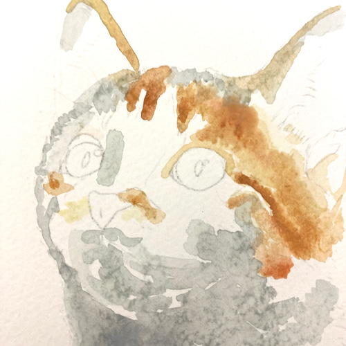 オーダーメイド サンプル 猫の絵 水彩画 絵画 ENPITSUYA 通販