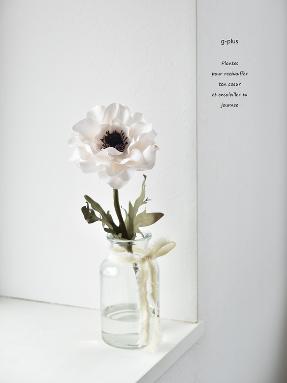 咲き続ける大輪の白いアネモネ(アンティークテイスト)のマジカル