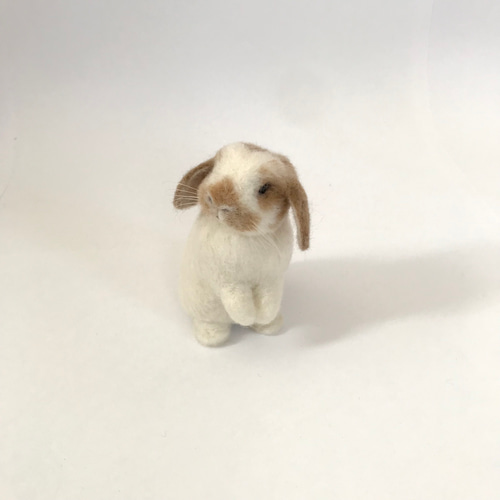 うさぎ 羊毛フェルト ロップイヤー ホーランドロップ ミニうさぎ