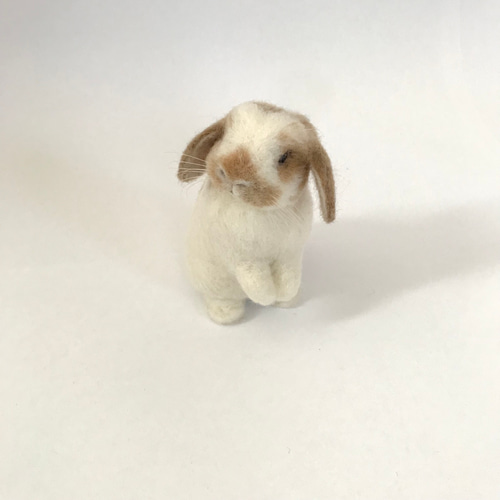 うさぎ 羊毛フェルト ロップイヤー ホーランドロップ ミニうさぎ