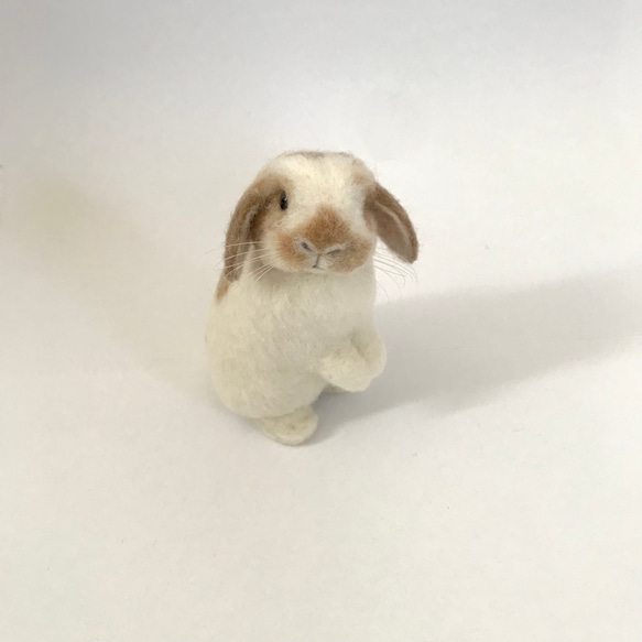 うさぎ 羊毛フェルト ロップイヤー ホーランドロップ ミニうさぎ