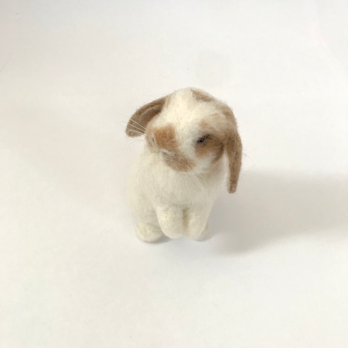 うさぎ 羊毛フェルト ロップイヤー ホーランドロップ ミニうさぎ