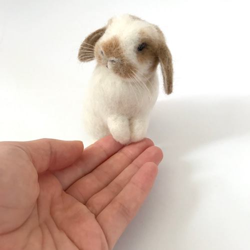 うさぎ 羊毛フェルト ロップイヤー ホーランドロップ ミニうさぎ