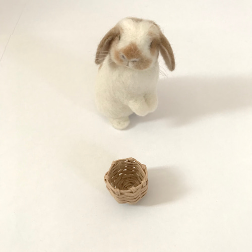 うさぎ 羊毛フェルト ロップイヤー ホーランドロップ ミニうさぎ