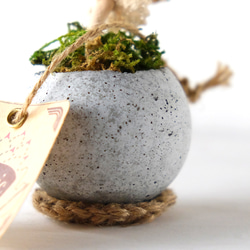 【 Fabric Kinoko 09 】（コンクリート鉢に入った布の植物飾り・キノコ） 6枚目の画像