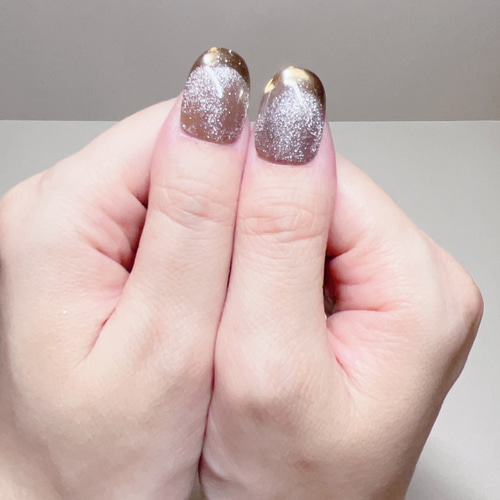 キラキラマグネットフレンチネイル ネイルチップ（つけ爪） nail_hana