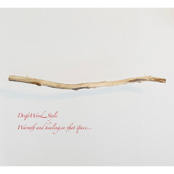 流木インテリア 木肌が渋いデザインの大型流木のハンガーラック 北欧 衣装掛け ハンギング 吊り下げ ハンガーポール 癒し 8枚目の画像