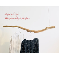 流木インテリア 緩やかなうねりを描く大型流木のハンガーラック 北欧 衣装掛け ハンギング 吊り下げ ハンガーポール 癒し 6枚目の画像