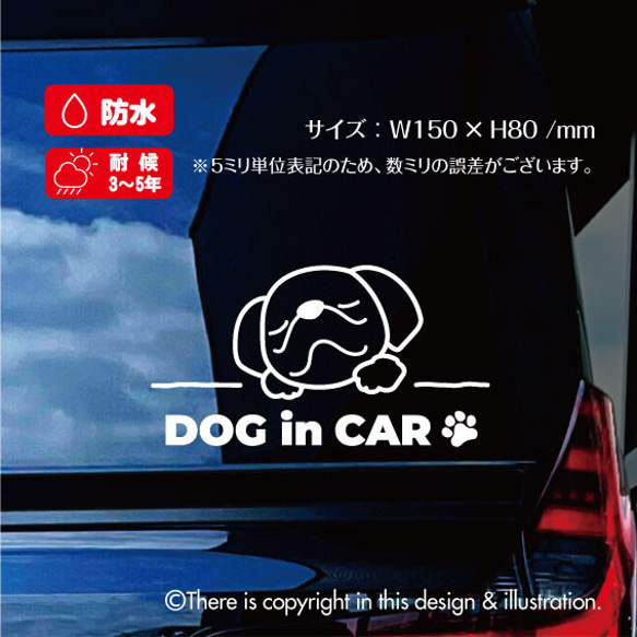 DOG IN CAR/ペキニーズ【カッティングステッカー】手書きわんこ 2枚目の画像