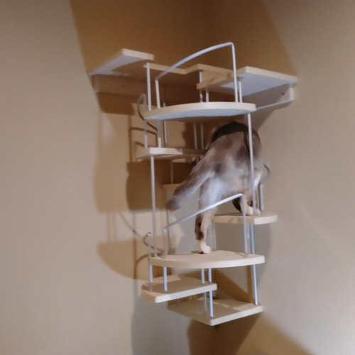 キャットウォーク、手すり付き階段、ねこちゃんもあんしん、軽量設計 f2693a1e769ee0c6040c82b960e853