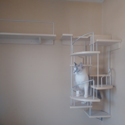 キャットウォーク、手すり付き階段、ねこちゃんもあんしん、軽量設計 f2693a1e769ee0c6040c82b960e853