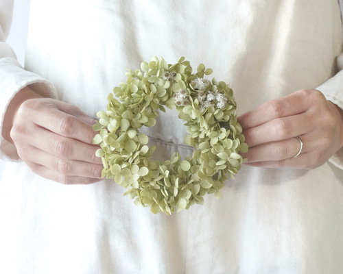 アナベルのラウンドリース ドライフラワーリース 19cm