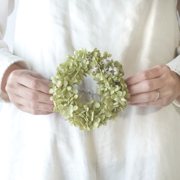 アナベル紫陽花リース ひたむき＞紫陽花アナベルのリース 商品ページ - 土と風の植物園