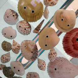 本物みたいな金魚鉢ーお水を入れて楽しむ その他インテリア雑貨 East