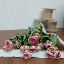 スプレーバラ ドライフラワー S-059 スプレーバラ ドライフラワー S