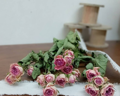 ドライフラワー スプレーバラ スイートローラ その他素材 Rose｡｡ 通販