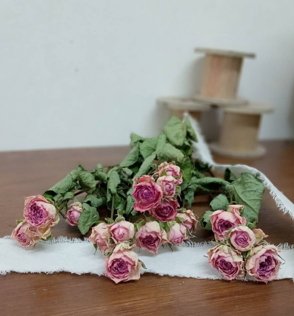 ドライフラワー スプレーバラ スイートローラ その他素材 Rose｡｡ 通販