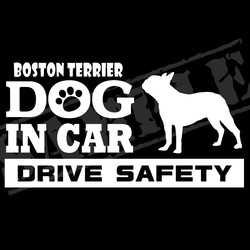 『犬種名・DOG IN CAR・DRIVE SAFETY・ボストンテリア②』ステッカー　9cm×17cm 1枚目の画像