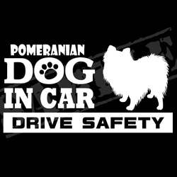 『犬種名・DOG IN CAR・DRIVE SAFETY・ポメラニアン』ステッカー　9cm×17cm 1枚目の画像
