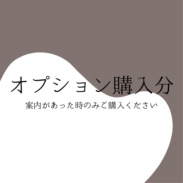 オプション購入忘れ 1枚目の画像