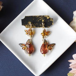 耳飾り アッサムの雫とオレンジ蝶々 ミューラー型擬態 〈 イヤリング , ピアス 〉 3枚目の画像