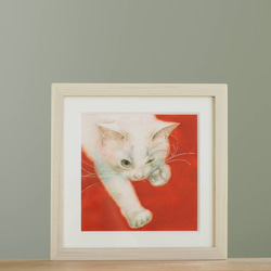 白猫　「　シュワッチ　」 3枚目の画像