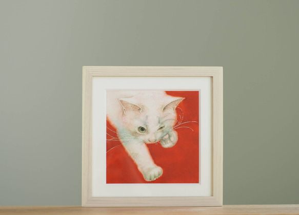 白猫　「　シュワッチ　」 3枚目の画像
