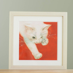 白猫　「　シュワッチ　」 1枚目の画像