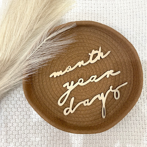 【大幅値下げ！】木製レターバナーセット➀┃　マンスリーカード　インスタ映え　マンスリーバナー　ベビー　木製　ベビー食器　 3枚目の画像