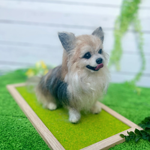 世界でたった一つ♡うちの子そっくり♡チワワ オーダー♡Mサイズ 羊毛  