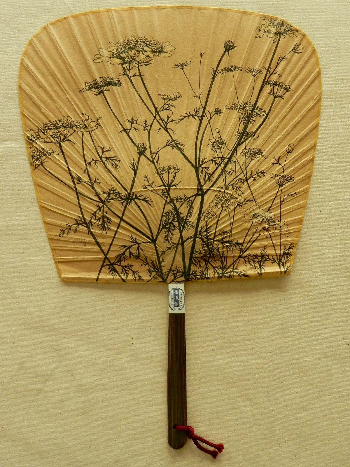 【ハナウド】来民渋うちわ　仙扇　手書き原画