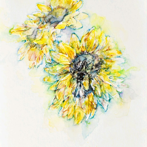 さきかれる ひまわり 絵画 しろいろ 通販 16383959|Creema さきかれる ひまわり 絵画 しろいろ 通販 16383959|Creema