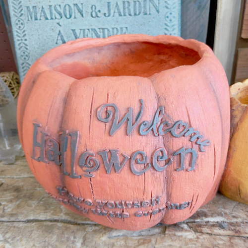 ラスト！大きめハロウィン陶器鉢！寄せ植えにもぴったり♪パンプキン