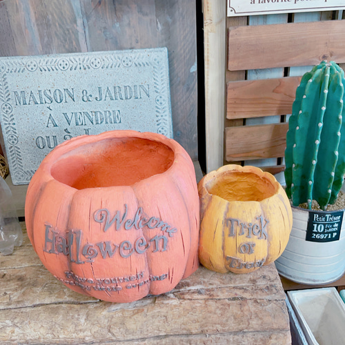 ラスト！大きめハロウィン陶器鉢！寄せ植えにもぴったり♪パンプキン