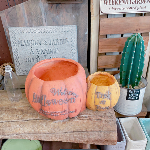 ラスト！大きめハロウィン陶器鉢！寄せ植えにもぴったり♪パンプキン