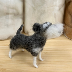 羊毛フェルト犬 ミニチュアシュナウザー ハンドメイド 置物 3枚目の画像