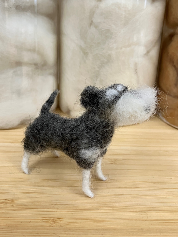 羊毛フェルト犬 ミニチュアシュナウザー ハンドメイド 置物 3枚目の画像