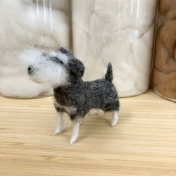 羊毛フェルト犬 ミニチュアシュナウザー ハンドメイド 置物 9枚目の画像