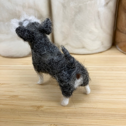 羊毛フェルト犬 ミニチュアシュナウザー ハンドメイド 置物 6枚目の画像
