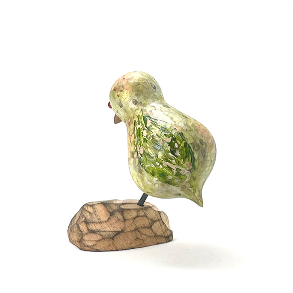 カカポ_Kakapo 2枚目の画像