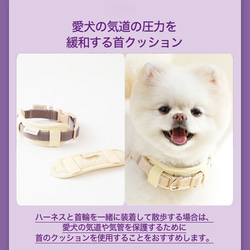 【NEW！】犬 首輪 オリジナル8カラー対応 13枚目の画像