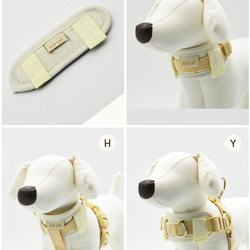 【NEW！】犬 首輪 オリジナル8カラー対応 16枚目の画像