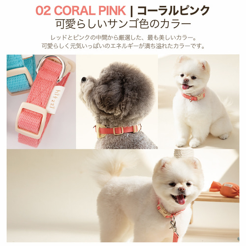 ALAN-JAY アランジェイ 赤い首輪の犬 ワンちゃんスリープアイ その他